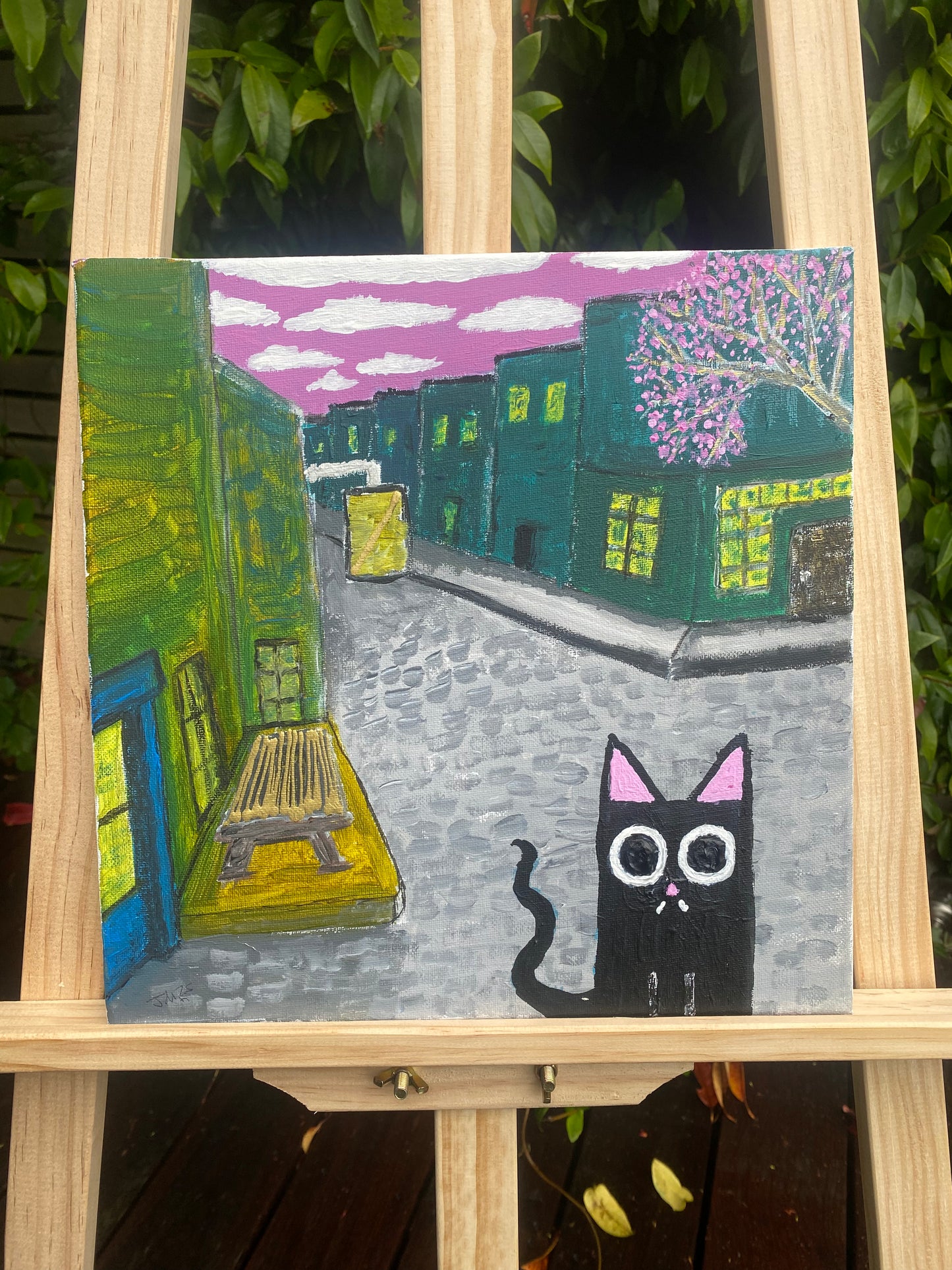 Street Cat