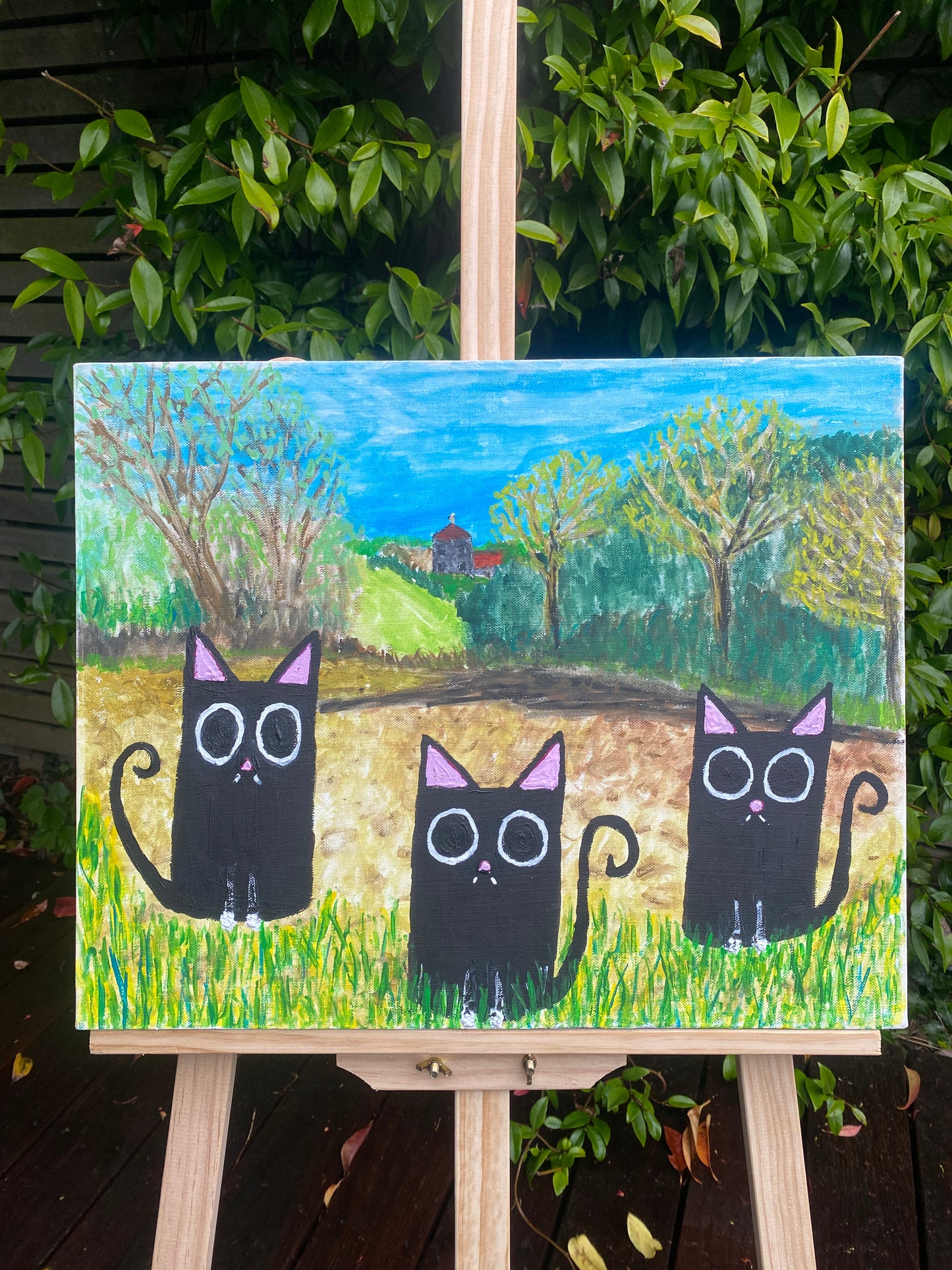 Country Cats