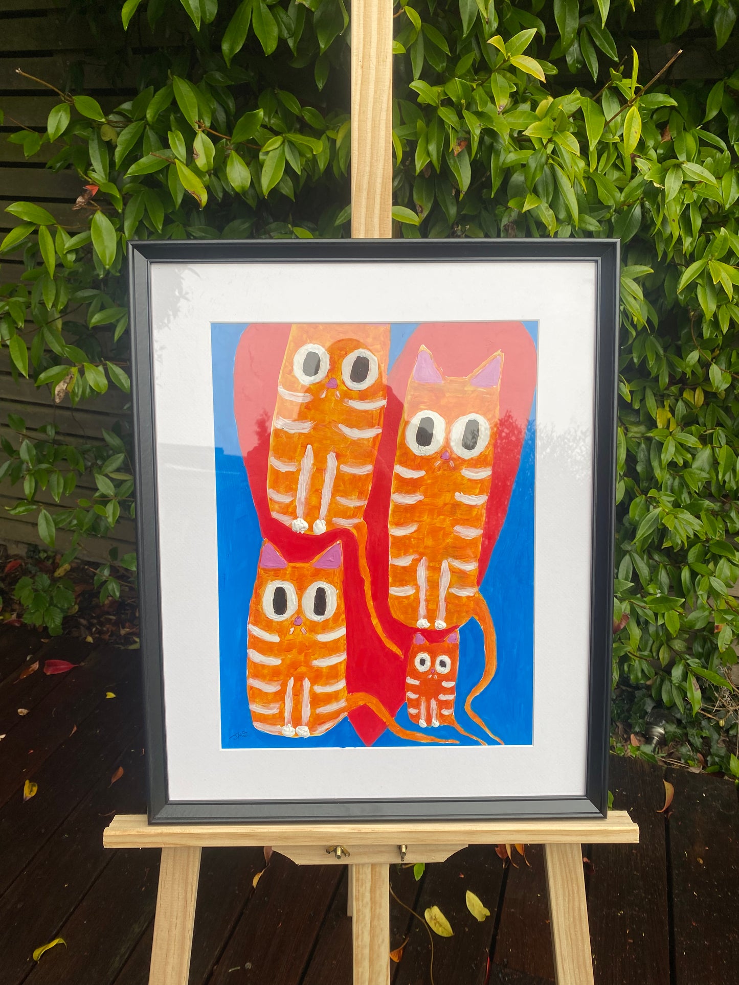 Ginger Cats