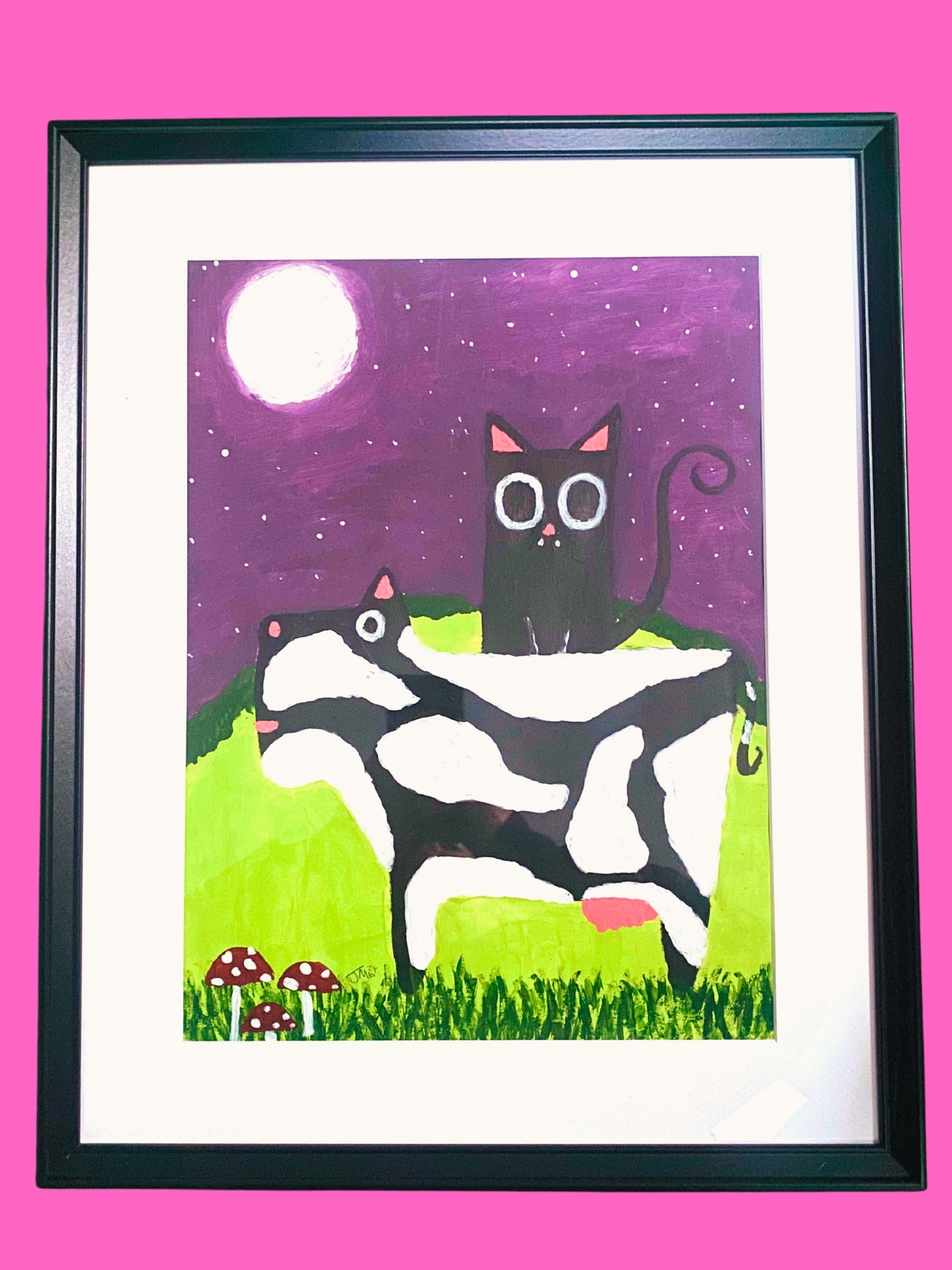 Stargazing Cat
