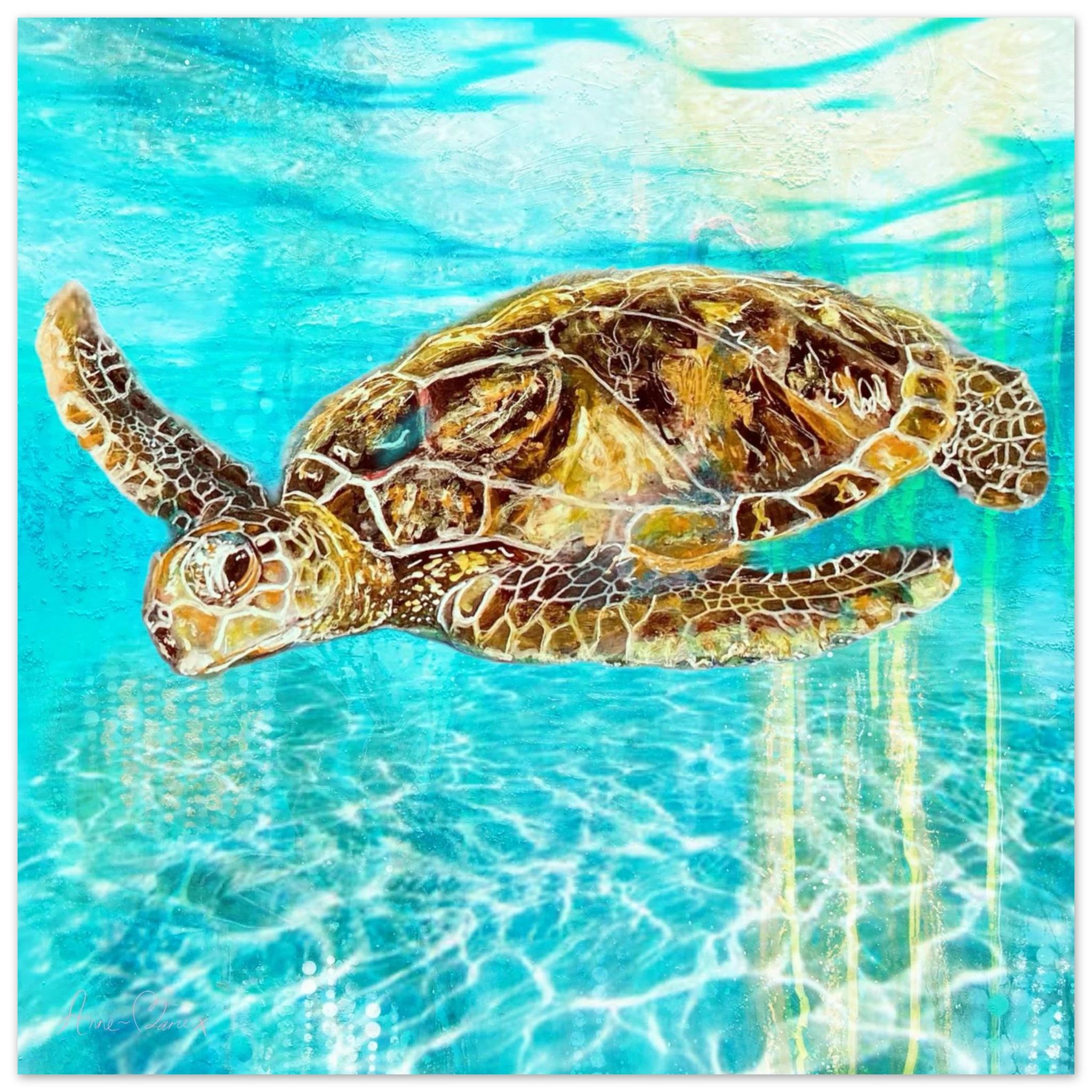 03d7db88-01df-445f-86b2-e8ff04ed84b8