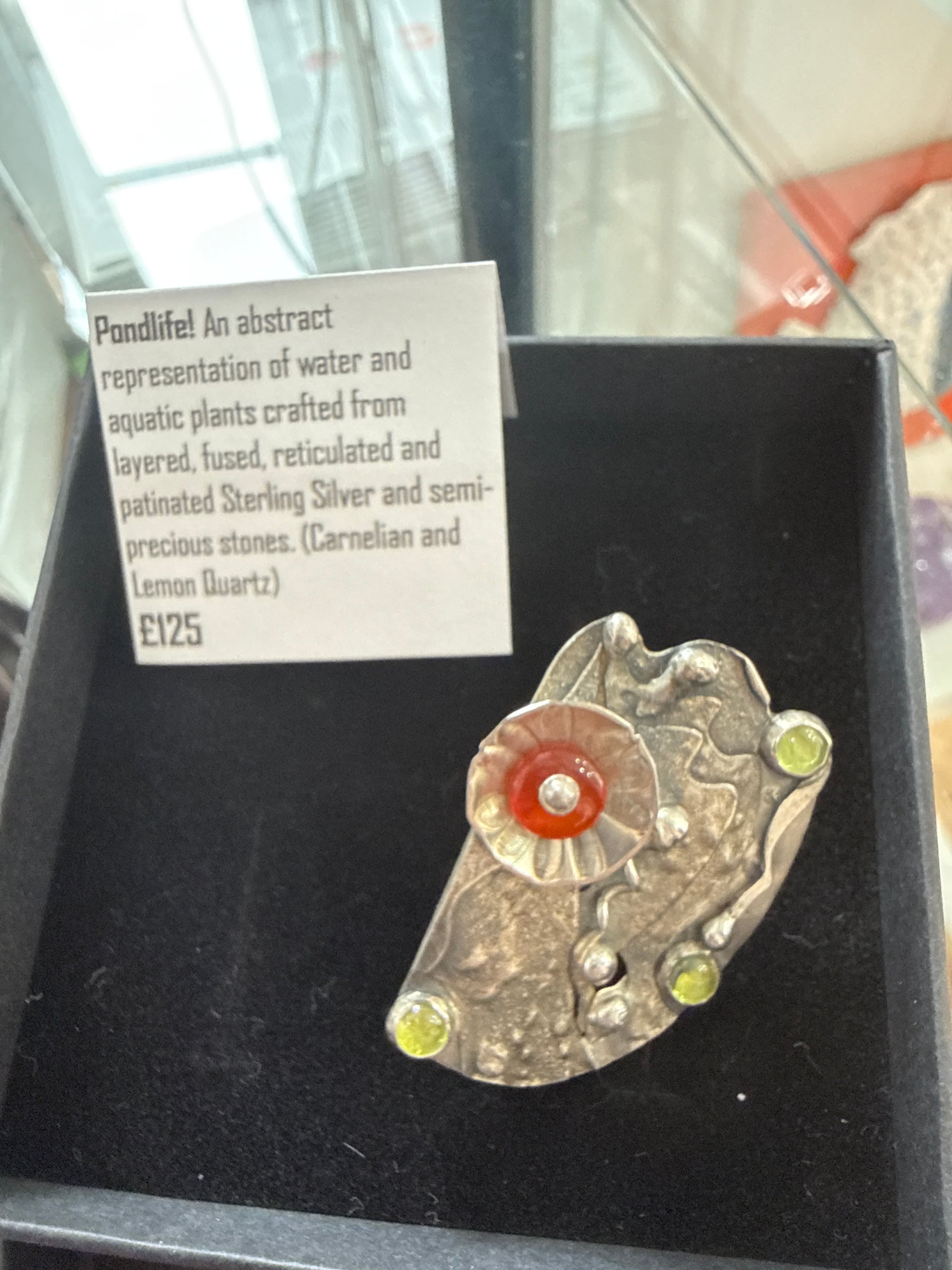 Pond life Brooch