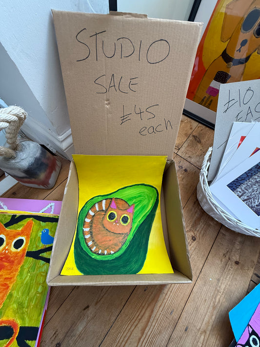 Avocado Cat