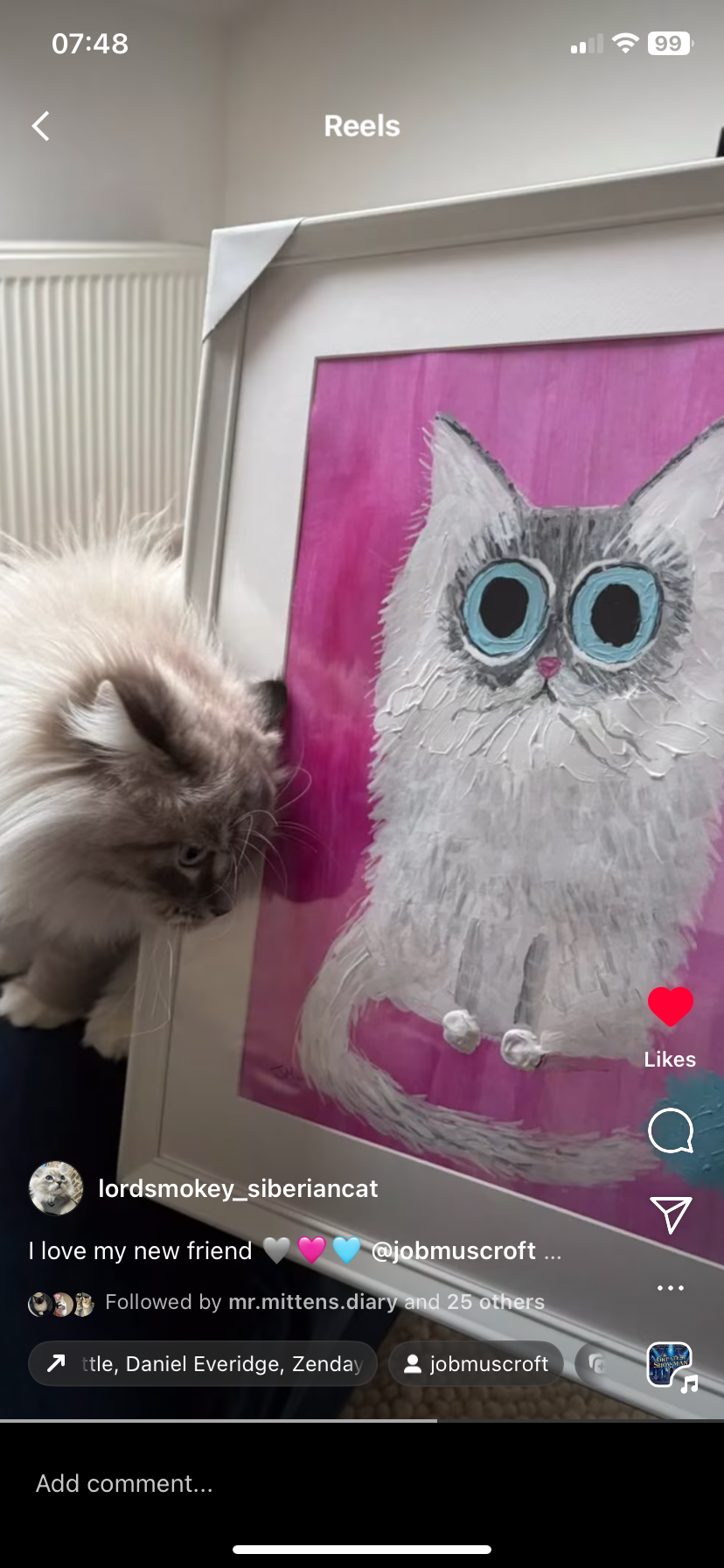Paint Your Pet - Regular 30 x 20 CM Frame