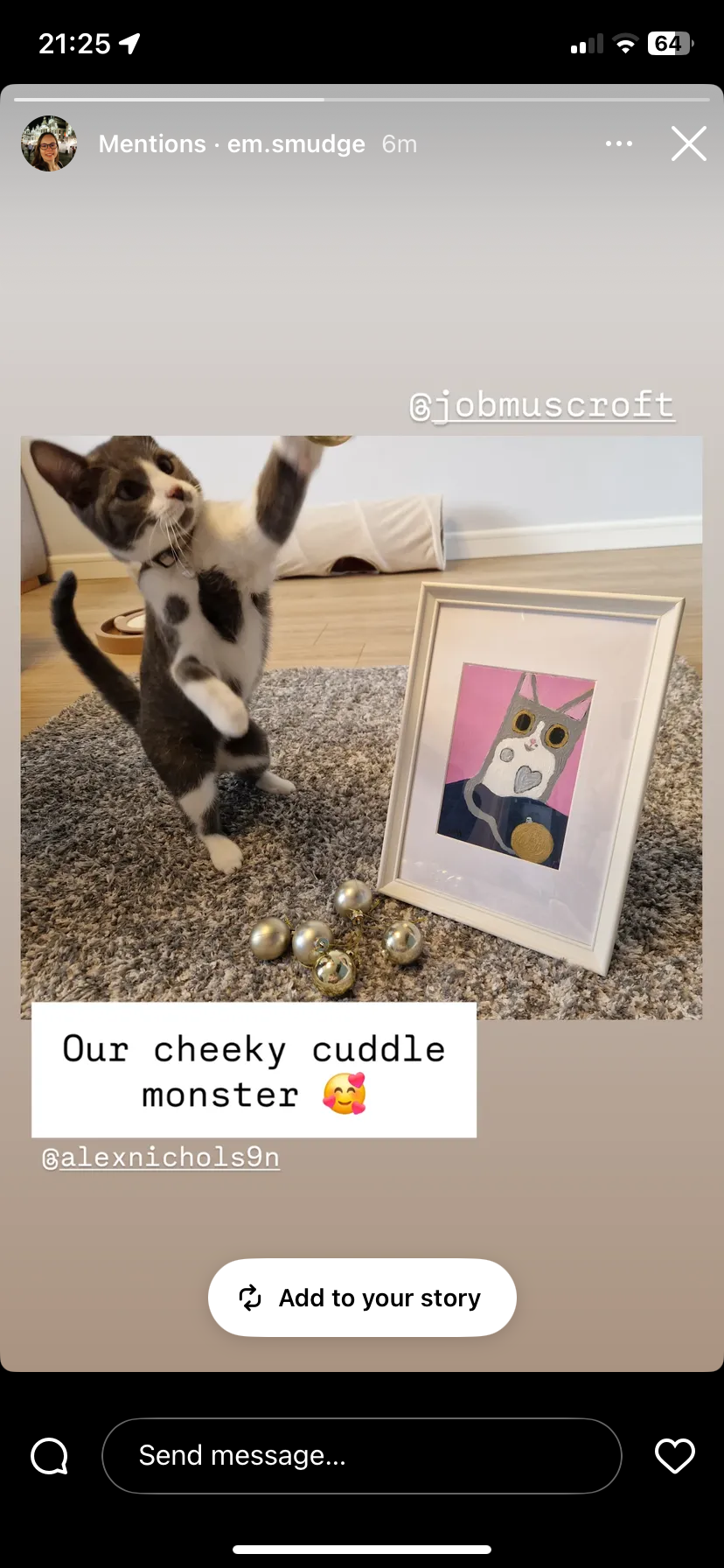 Paint Your Pet - Regular 30 x 20 CM Frame